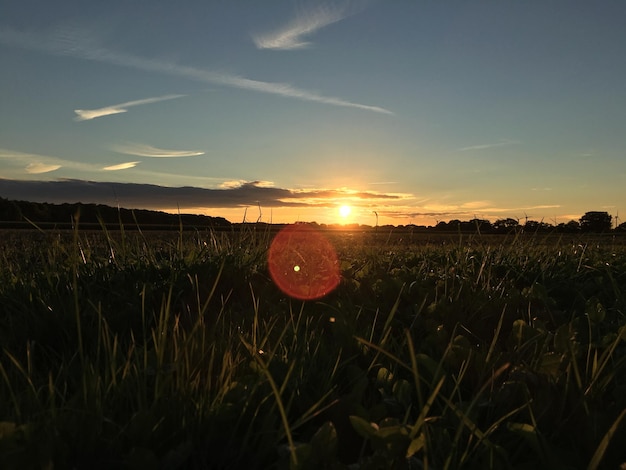 Foto vista panoramica del campo contro il cielo al tramonto