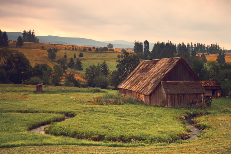 Фотография пейзажный вид на поле на фоне неба во время захода солнца