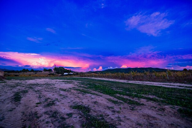 Scenic view of field against sky at sunset