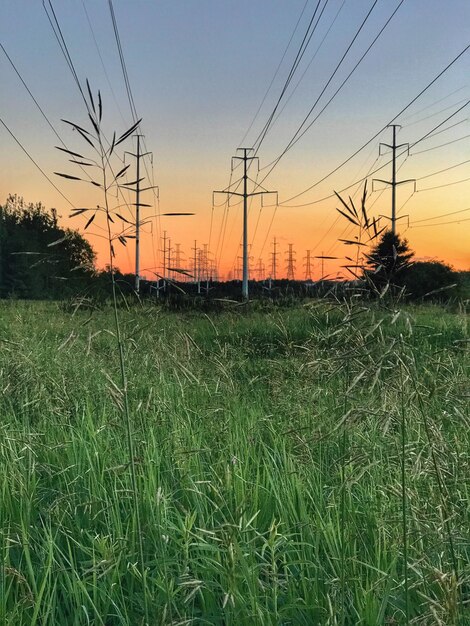 Scenic view of field against sky during sunset