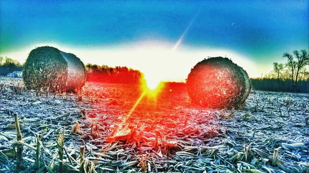 Photo scenic view of field against sky at sunset