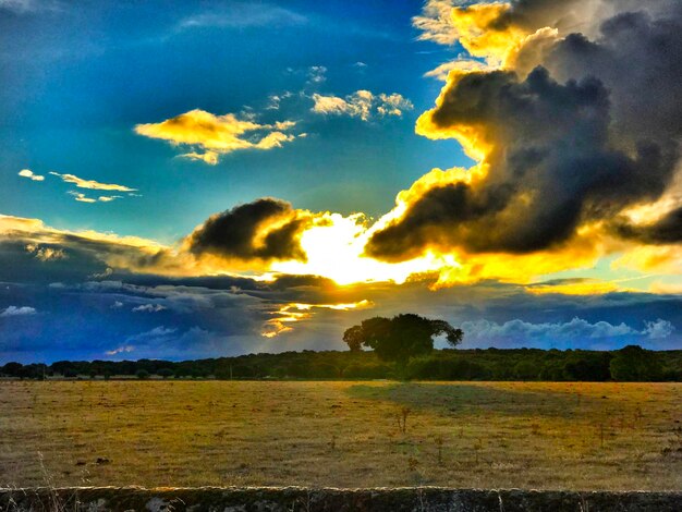 Scenic view of field against sky at sunset