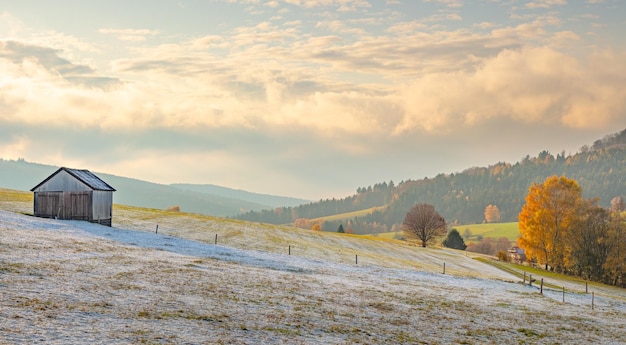 scenic view of field against sky during winter