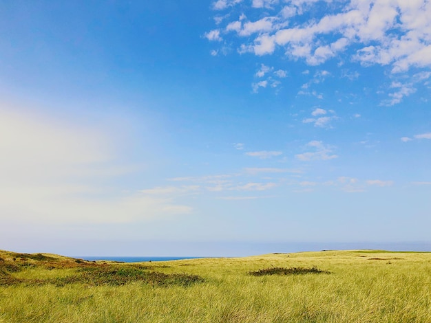 Photo scenic view of field against sky