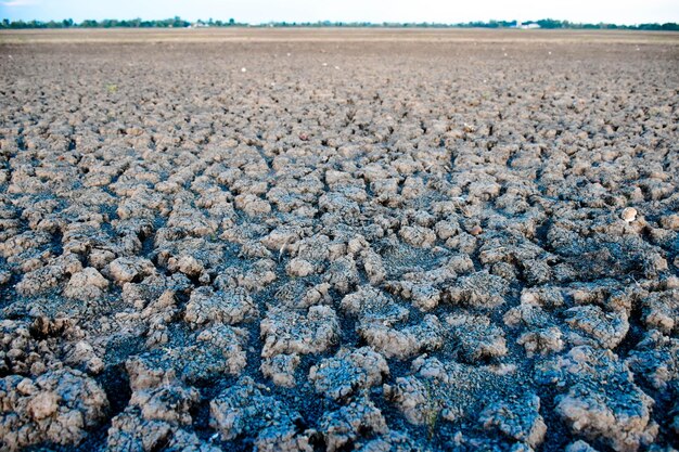 Photo scenic view of field against sky