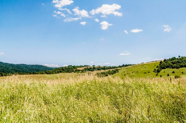 Photo scenic view of field against sky