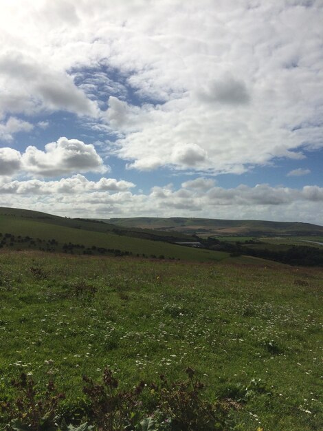 Scenic view of field against sky