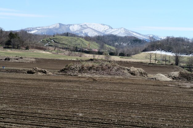 Foto vista panoramica del campo contro il cielo