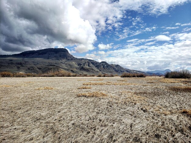 Foto vista panoramica del campo contro il cielo