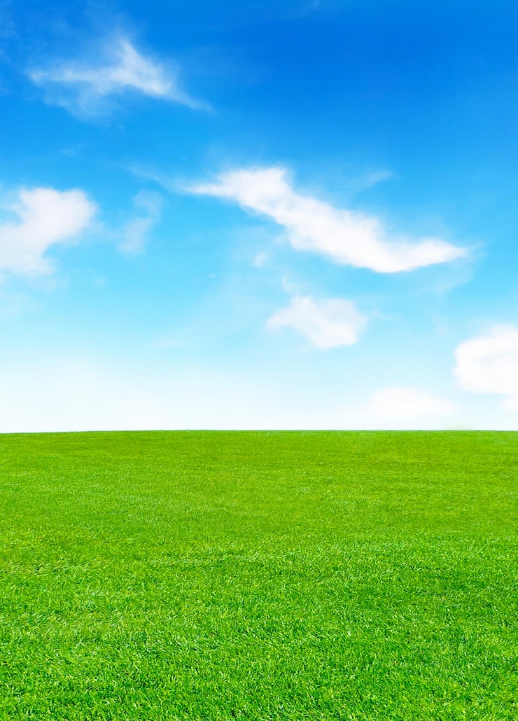 Photo scenic view of field against sky