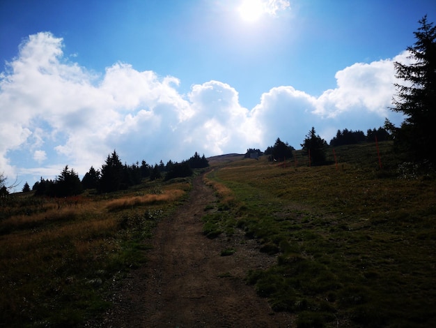 Foto vista panoramica del campo contro il cielo