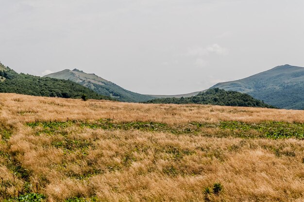 Photo scenic view of field against sky