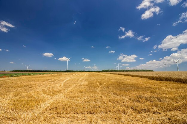 Foto vista panoramica del campo contro il cielo