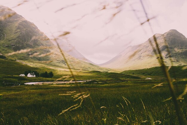 Photo scenic view of field against sky