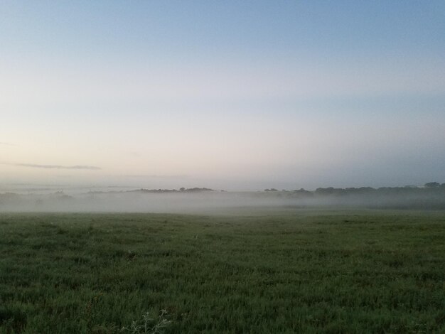 Photo scenic view of field against sky