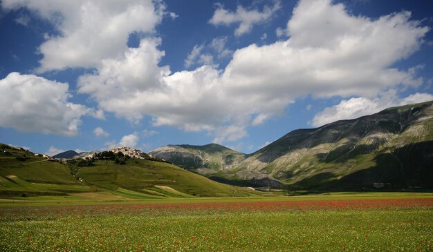 Foto vista panoramica del campo contro il cielo