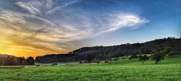 Foto vista panoramica del campo contro il cielo