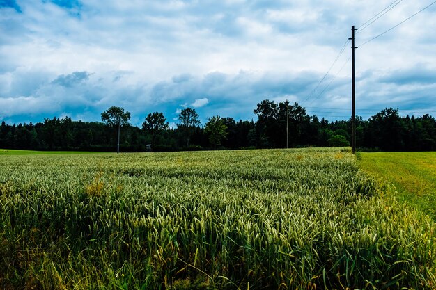 Foto vista panoramica del campo contro il cielo