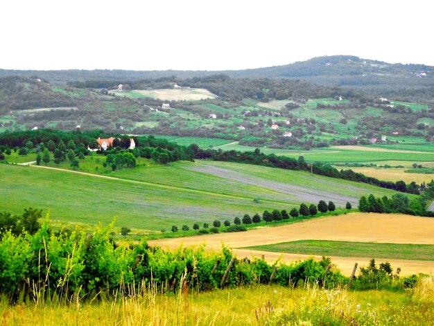 Foto vista panoramica del campo contro il cielo