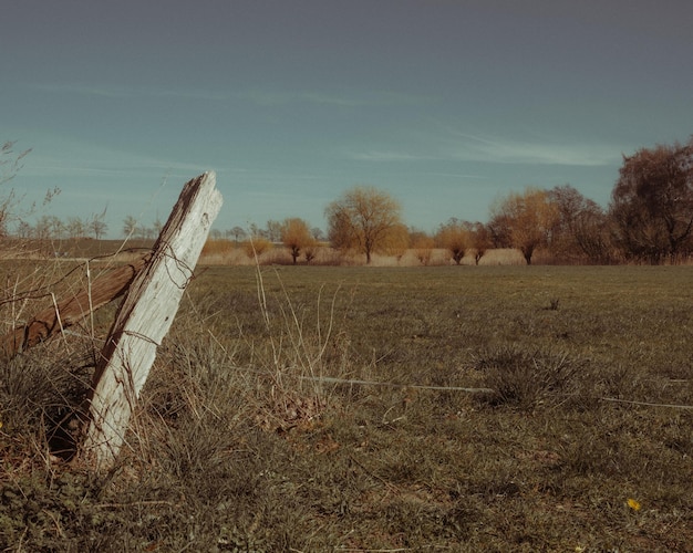 Photo scenic view of field against sky