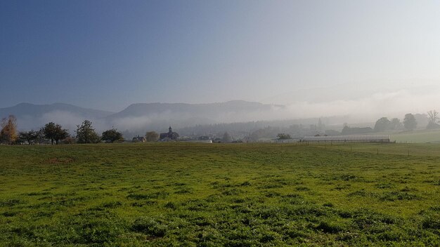 Scenic view of field against sky