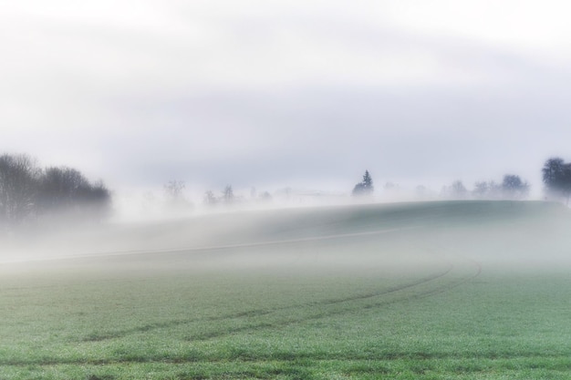 Foto vista panoramica del campo contro il cielo