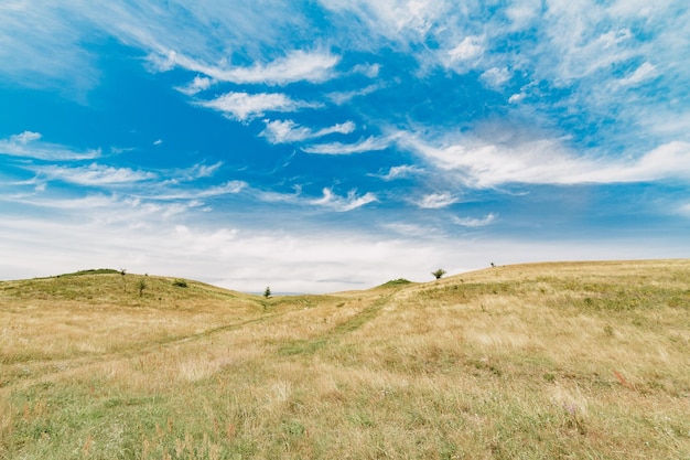 Photo scenic view of field against sky