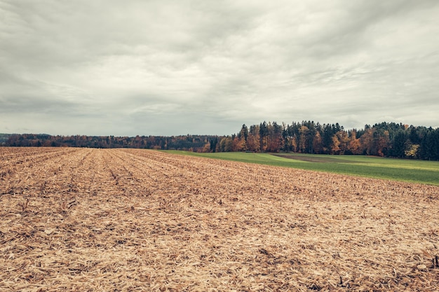 Photo scenic view of field against sky