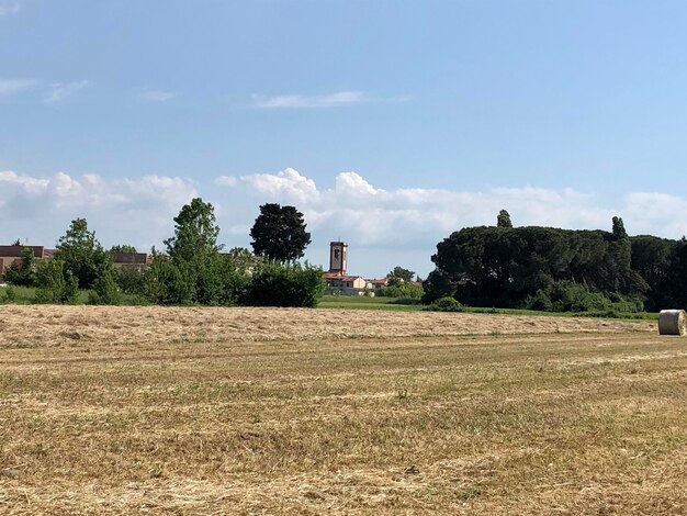 Foto vista panoramica del campo contro il cielo