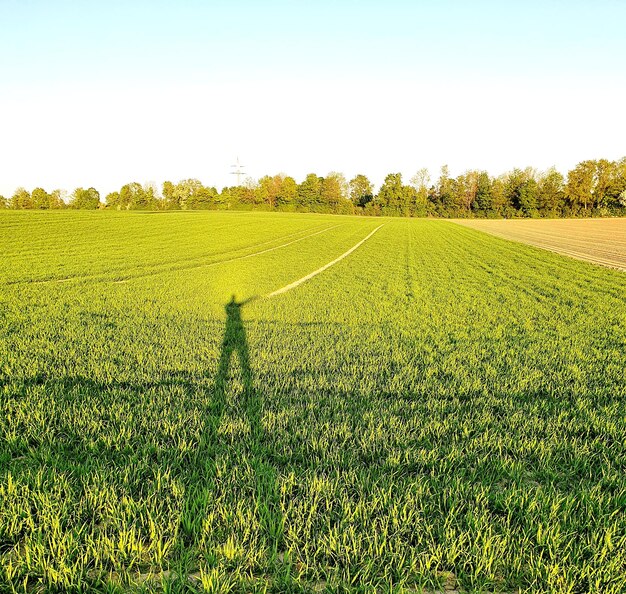 Photo scenic view of field against sky