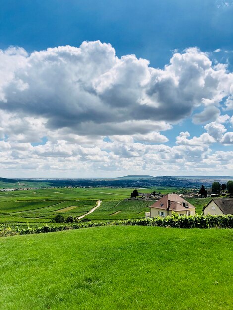 Scenic view of field against sky