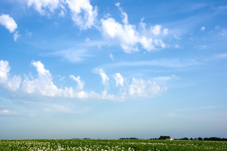 Photo scenic view of field against sky