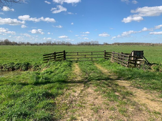 Photo scenic view of field against sky