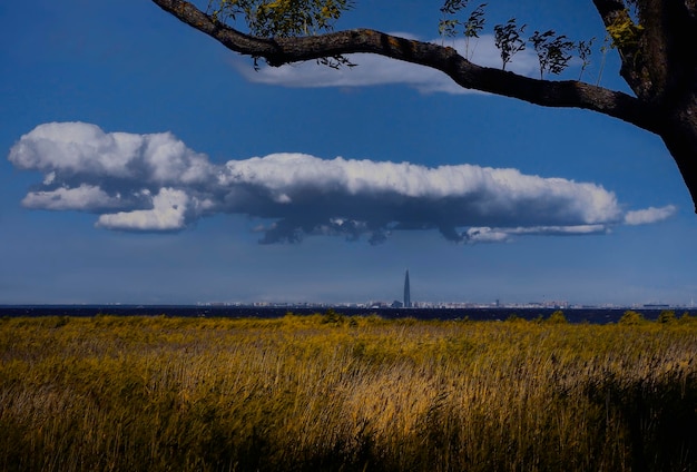 Photo scenic view of field against sky