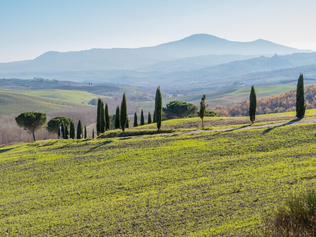 Foto vista panoramica del campo contro il cielo