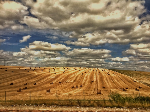 Foto vista panoramica del campo contro il cielo