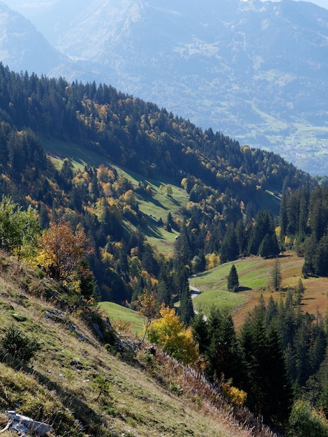 Foto vista panoramica del campo contro il cielo