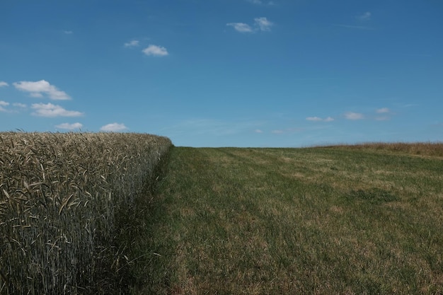 Foto vista panoramica del campo contro il cielo