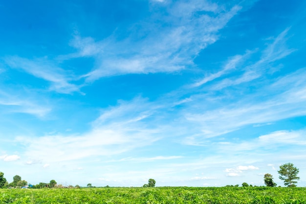 Photo scenic view of field against sky