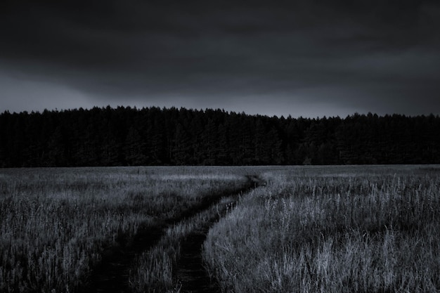 Photo scenic view of field against sky