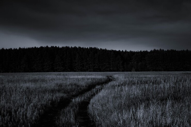 Photo scenic view of field against sky