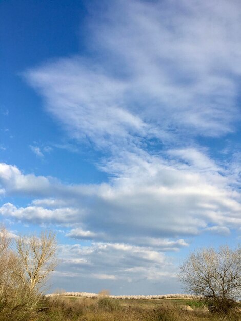 Foto vista panoramica del campo contro il cielo