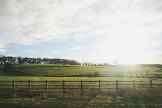 Photo scenic view of field against sky