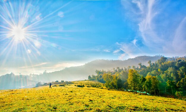 Photo scenic view of field against sky