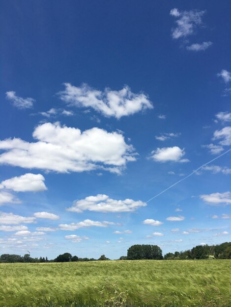 Foto vista panoramica del campo contro il cielo