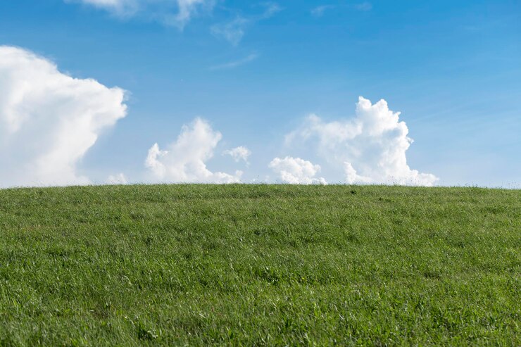 Photo scenic view of field against sky