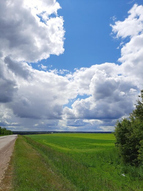 Scenic view of field against sky