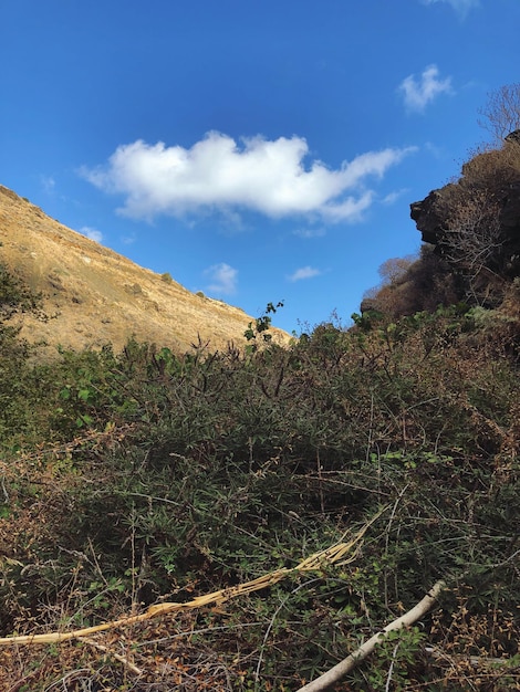 Foto vista panoramica del campo contro il cielo