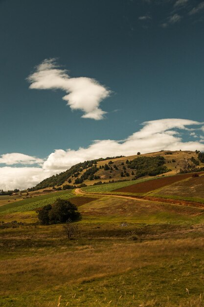 Foto vista panoramica del campo contro il cielo