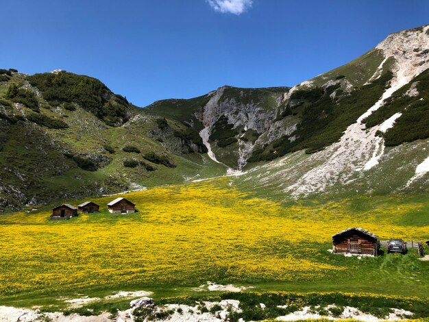 Foto vista panoramica del campo contro il cielo